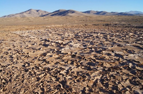 cuidemos el medio ambiente