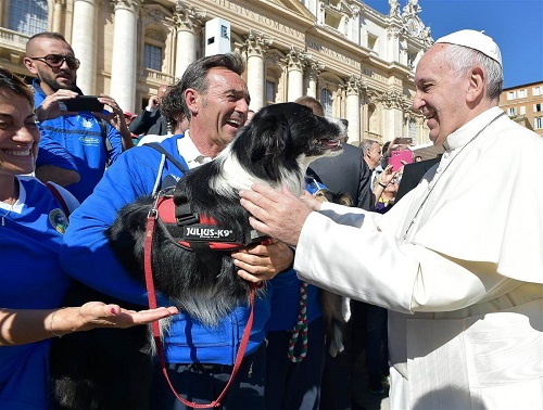 hijos y tambin mascotas, no unos en lugar de otros